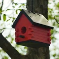 Tổ Chim Của Ông Ngoại (Grandpa's Birdhouse) - Thumbnail 2