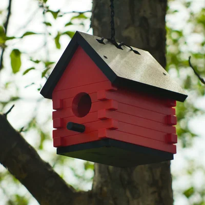 Tổ Chim Của Ông Ngoại (Grandpa's Birdhouse)