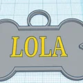 Bảng tên thú cưng hình xương (Dog Tag) - Thiết kế in 3D cá nhân hóa - Thumbnail 2