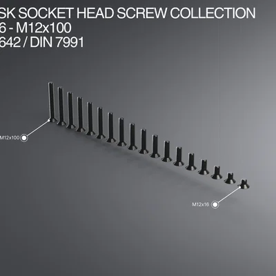 Bộ sưu tập ốc vít đầu bằng M12 (M12x16-M12x100) chuẩn ISO 10642 / DIN 7991