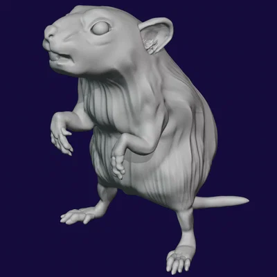 Bộ 5 mô hình Chuột Khổng Lồ (Giant Rat) 28mm cho game DnD