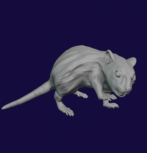 Bộ 5 mô hình Chuột Khổng Lồ (Giant Rat) 28mm cho game DnD - Image 3