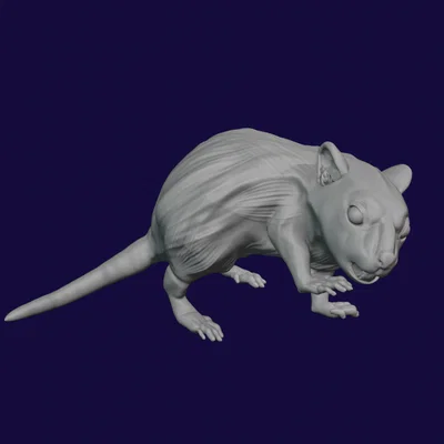 Bộ 5 mô hình Chuột Khổng Lồ (Giant Rat) 28mm cho game DnD