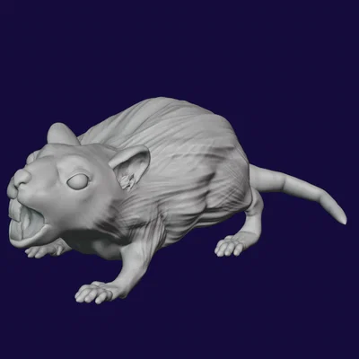 Bộ 5 mô hình Chuột Khổng Lồ (Giant Rat) 28mm cho game DnD