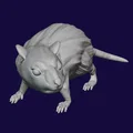 Bộ 5 mô hình Chuột Khổng Lồ (Giant Rat) 28mm cho game DnD - Thumbnail 5