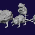 Bộ 5 mô hình Chuột Khổng Lồ (Giant Rat) 28mm cho game DnD - Thumbnail 6