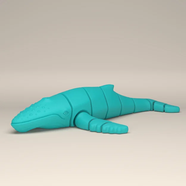Mô hình Cá voi lưng gù linh hoạt (Articulated Humpback Whale) in 3D - Image 5