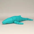 Mô hình Cá voi lưng gù linh hoạt (Articulated Humpback Whale) in 3D - Thumbnail 5