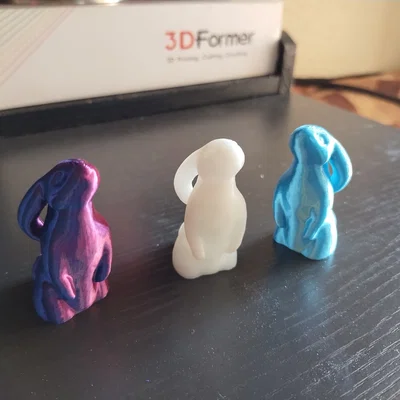 Chú Thỏ Tò Mò (Curious Bunny)