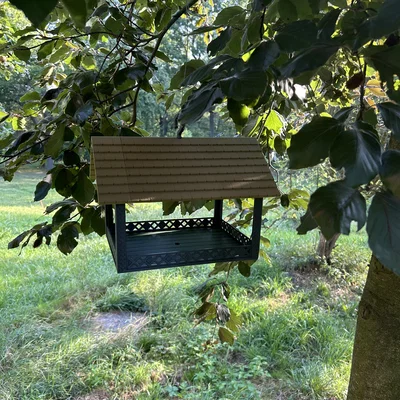 Mẫu in 3D máng ăn cho chim (Bird Feeder) treo sân vườn bền đẹp