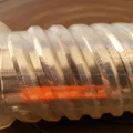 Ống đựng bút hình trụ với chân đế lục giác - Thumbnail 8