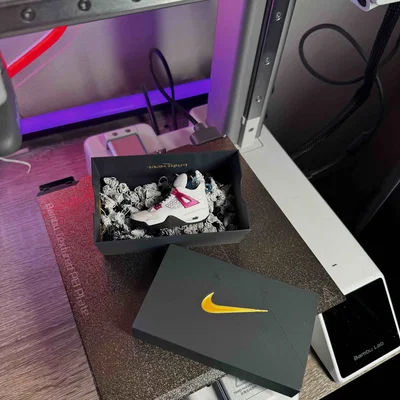 Hộp giày quà tặng Nike (Boîte à chaussure cadeau Nike)