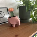 Chậu trồng cây hình chú voi 3D (Elephant Planter) xinh xắn - Thumbnail 4