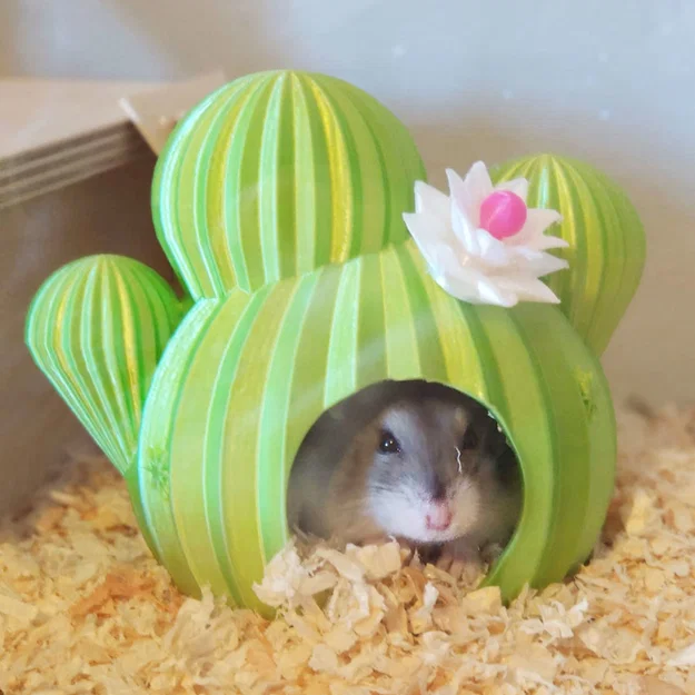 Nhà cho Hamster hình xương rồng "Spiky Spot" - Image 1