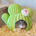 Nhà cho Hamster hình xương rồng "Spiky Spot" - Thumbnail 1