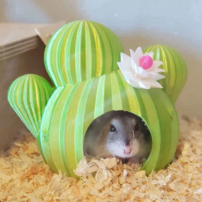 Nhà cho Hamster hình xương rồng "Spiky Spot"