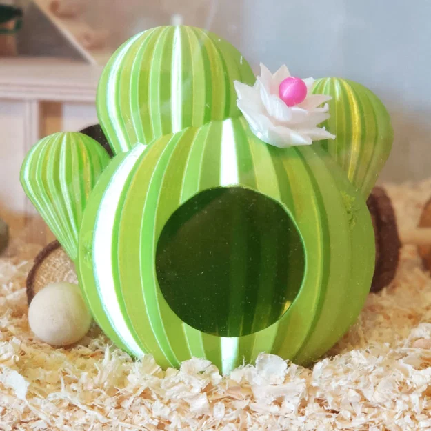 Nhà cho Hamster hình xương rồng "Spiky Spot" - Image 3