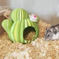 Nhà cho Hamster hình xương rồng "Spiky Spot" - Thumbnail 4