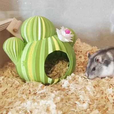 Nhà cho Hamster hình xương rồng "Spiky Spot"