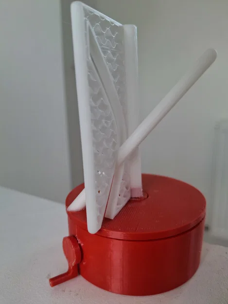 Mô hình ảo giác Illusion Pass-through - Image 3