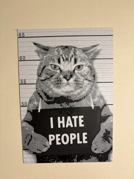 Hueforge Cat - Image 1