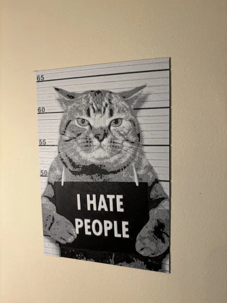 Hueforge Cat - Image 2