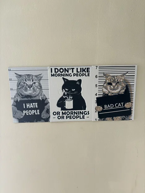 Hueforge Cat - Image 3