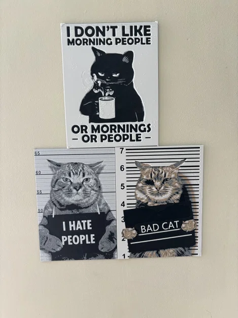 Hueforge cat humor – Mèo không ưa người (Hueforge) - Image 2