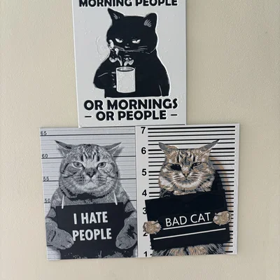 Hueforge cat humor – Mèo không ưa người (Hueforge)