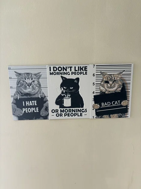 Hueforge cat humor – Mèo không ưa người (Hueforge) - Image 3
