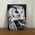 Hueforge Owl (Cú mèo) – Dễ in, đổi màu PLA - Thumbnail 1