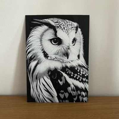 Hueforge Owl (Cú mèo) – Dễ in, đổi màu PLA