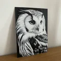 Hueforge Owl (Cú mèo) – Dễ in, đổi màu PLA - Thumbnail 2