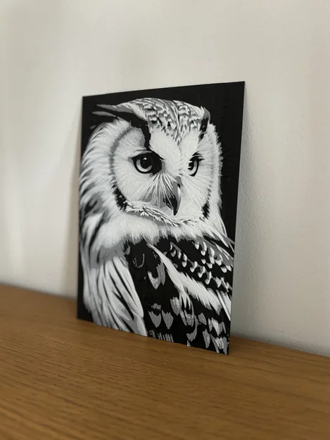 Hueforge Owl (Cú mèo) – Dễ in, đổi màu PLA - Image 3