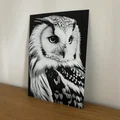 Hueforge Owl (Cú mèo) – Dễ in, đổi màu PLA - Thumbnail 3