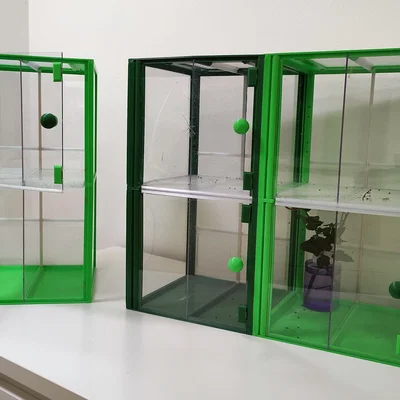 Terrarium/Insectarium dạng mô-đun (Modular terrarium - insectarium)