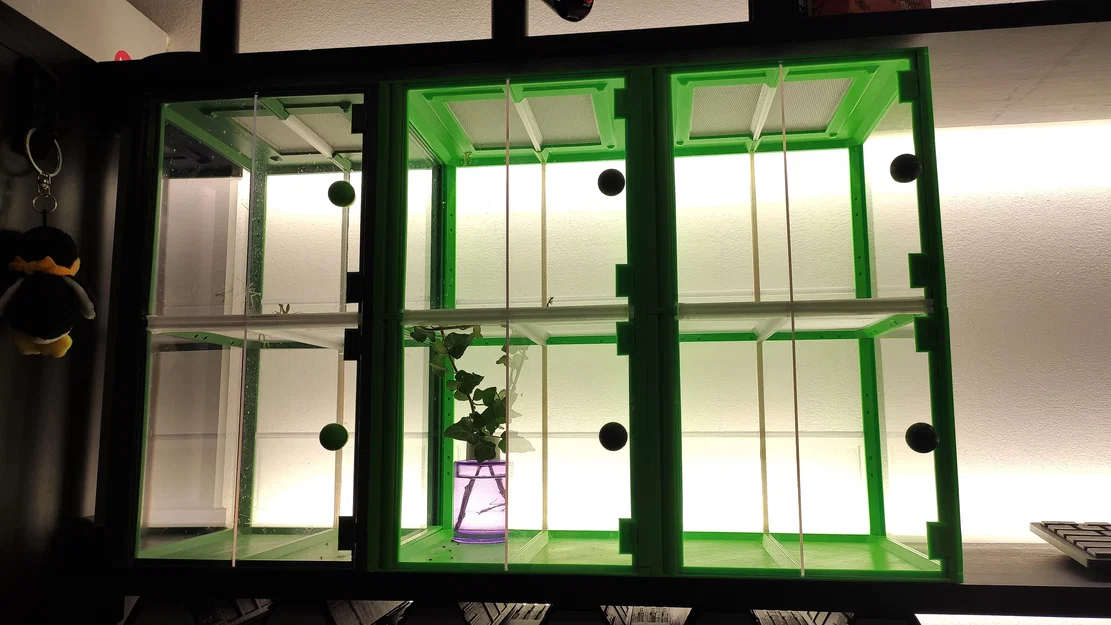 Terrarium/Insectarium dạng mô-đun (Modular terrarium - insectarium) - Image 25