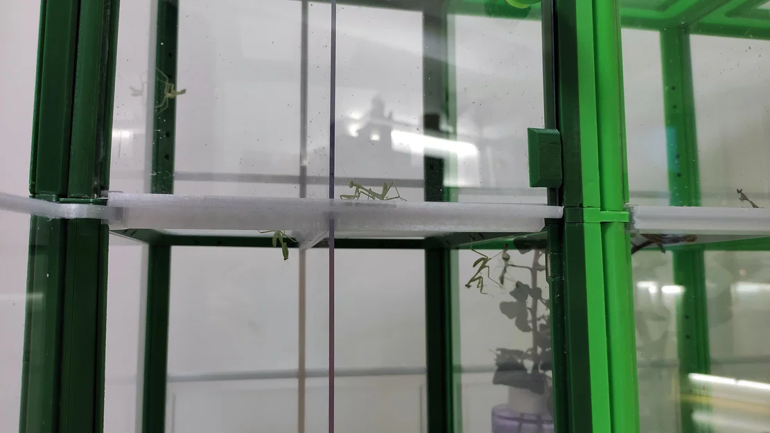 Terrarium/Insectarium dạng mô-đun (Modular terrarium - insectarium) - Image 26