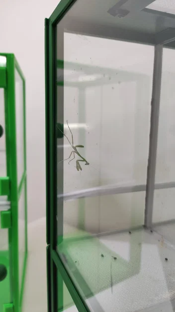 Terrarium/Insectarium dạng mô-đun (Modular terrarium - insectarium) - Image 27