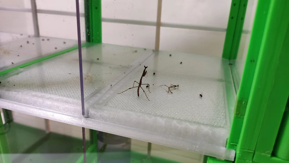 Terrarium/Insectarium dạng mô-đun (Modular terrarium - insectarium) - Image 29