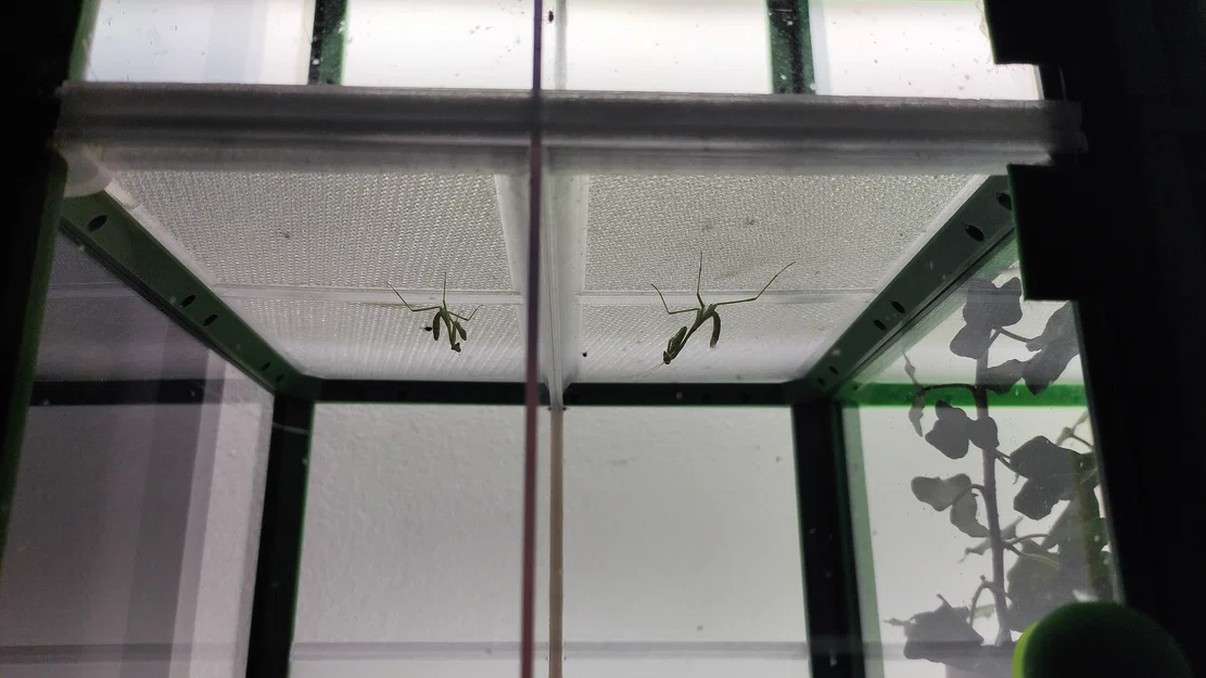 Terrarium/Insectarium dạng mô-đun (Modular terrarium - insectarium) - Image 30