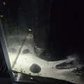 Hang Tép Góc Hồ (Corner Shrimp Cave) - Thumbnail 2