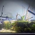 Hang Tép Góc Hồ (Corner Shrimp Cave) - Thumbnail 3