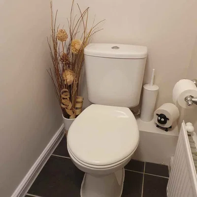 Cừu giữ cuộn giấy vệ sinh dự phòng (Spare toilet roll holder)