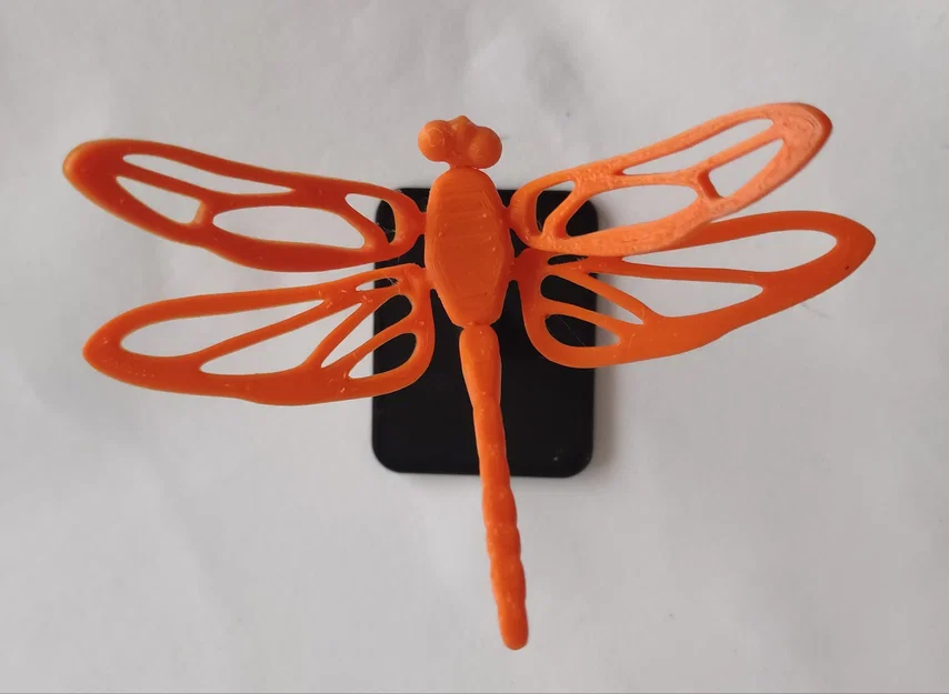 Chuồn Chuồn Khớp Nối (Dragonfly Articulated) - Image 2