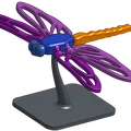 Chuồn Chuồn Khớp Nối (Dragonfly Articulated) - Thumbnail 3