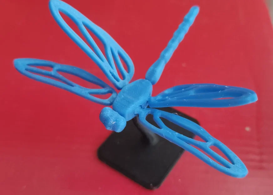 Chuồn Chuồn Khớp Nối (Dragonfly Articulated) - Image 7