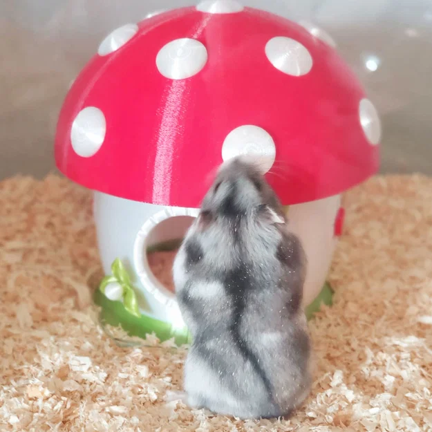 Nhà Hamster “Mushroom Mansion” (Hamster House) - Image 4