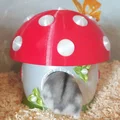 Nhà Hamster “Mushroom Mansion” (Hamster House) - Thumbnail 5