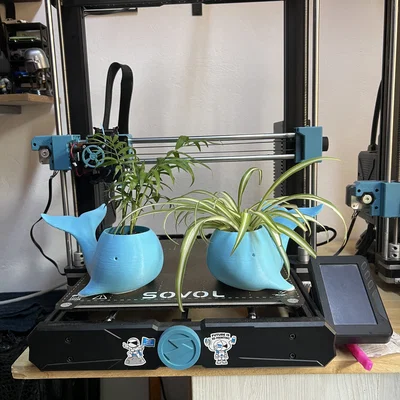 Chậu trồng cây hình cá voi 3D độc đáo trang trí bàn làm việc